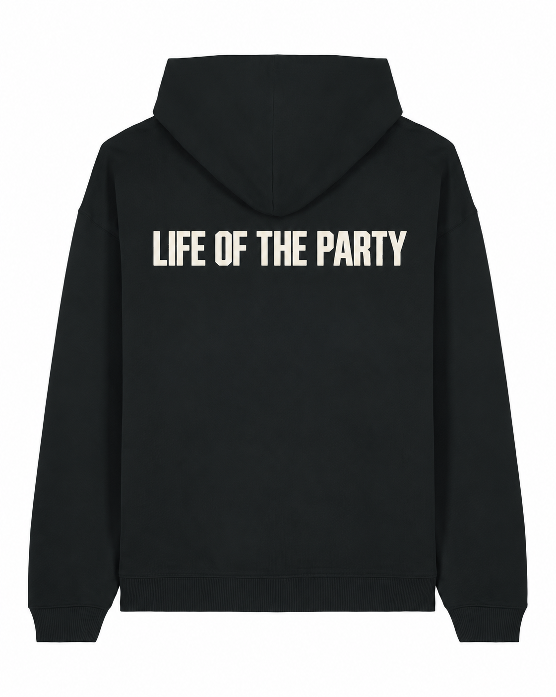 Life of the Party